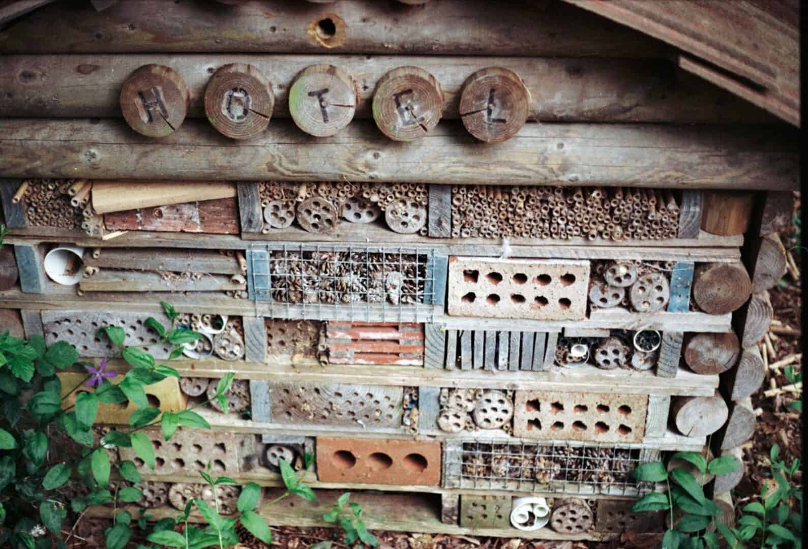 a bunch of beehives that are on a wall
