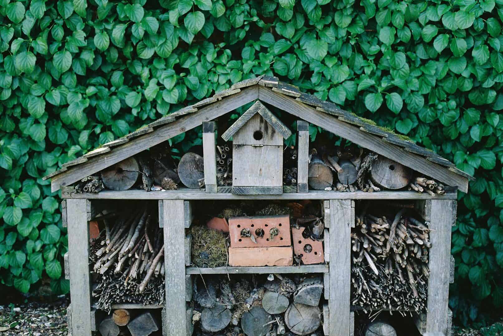 A wooden insect hotel with various materials
