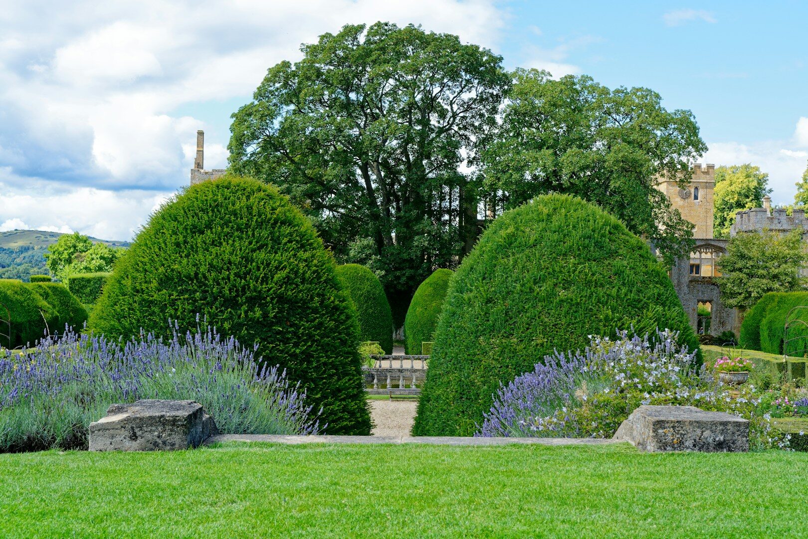 a large green lawn with trees and bushes